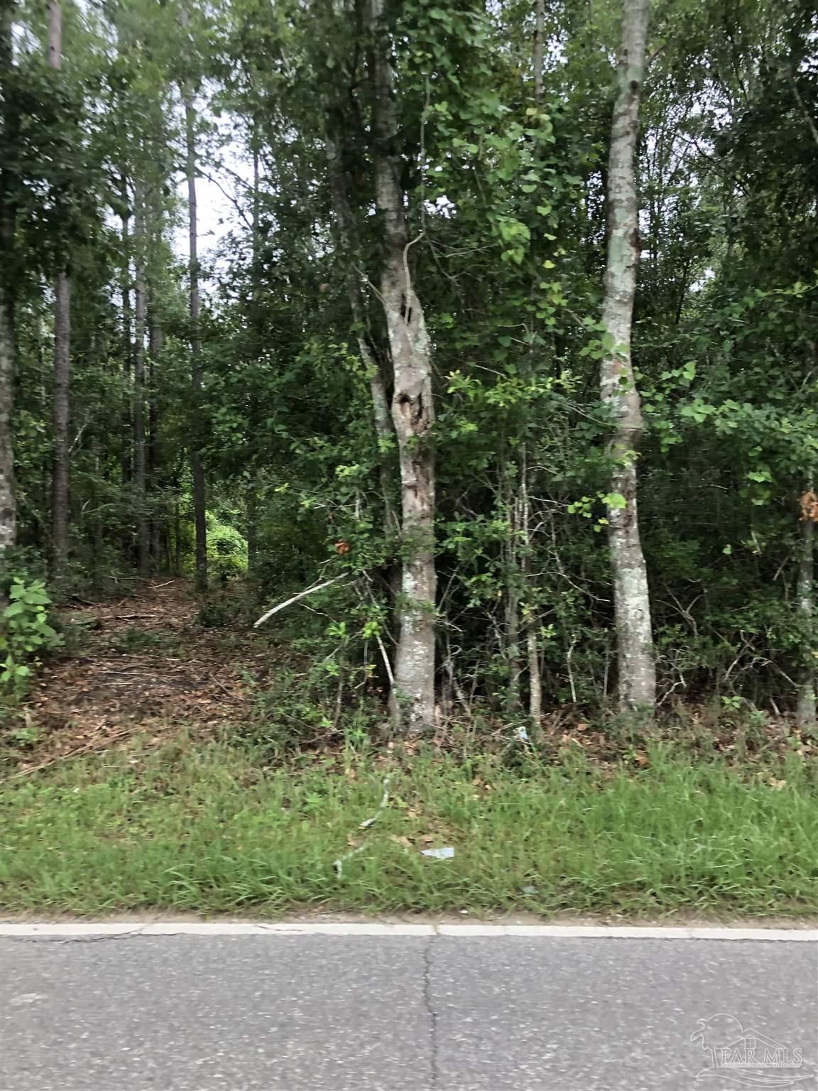 Lot 8 Virecent Road Cantonment, FL 32533 - Photo 4 of 8