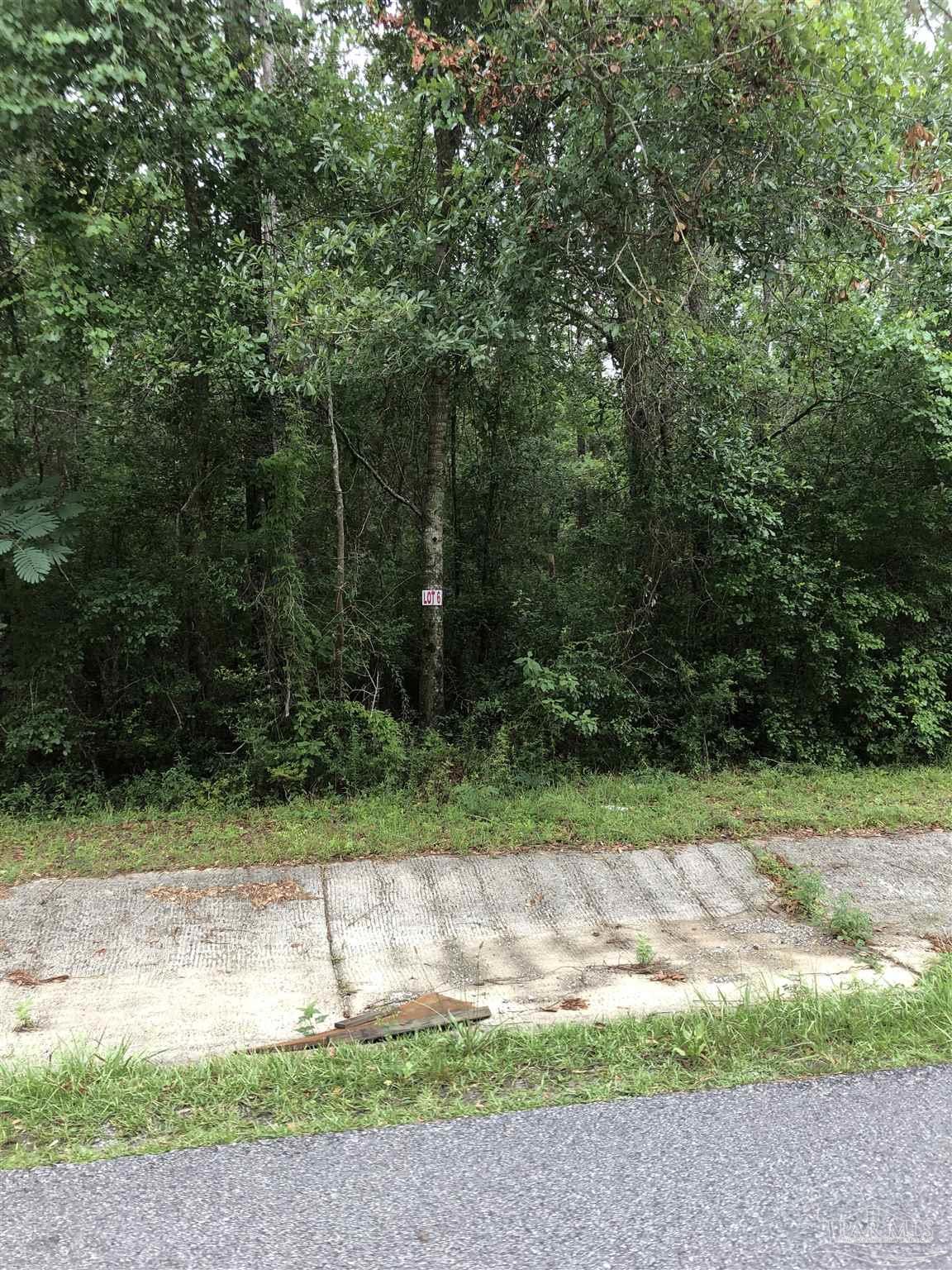 Lot 8 Virecent Road Cantonment, FL 32533 - Photo 5 of 8