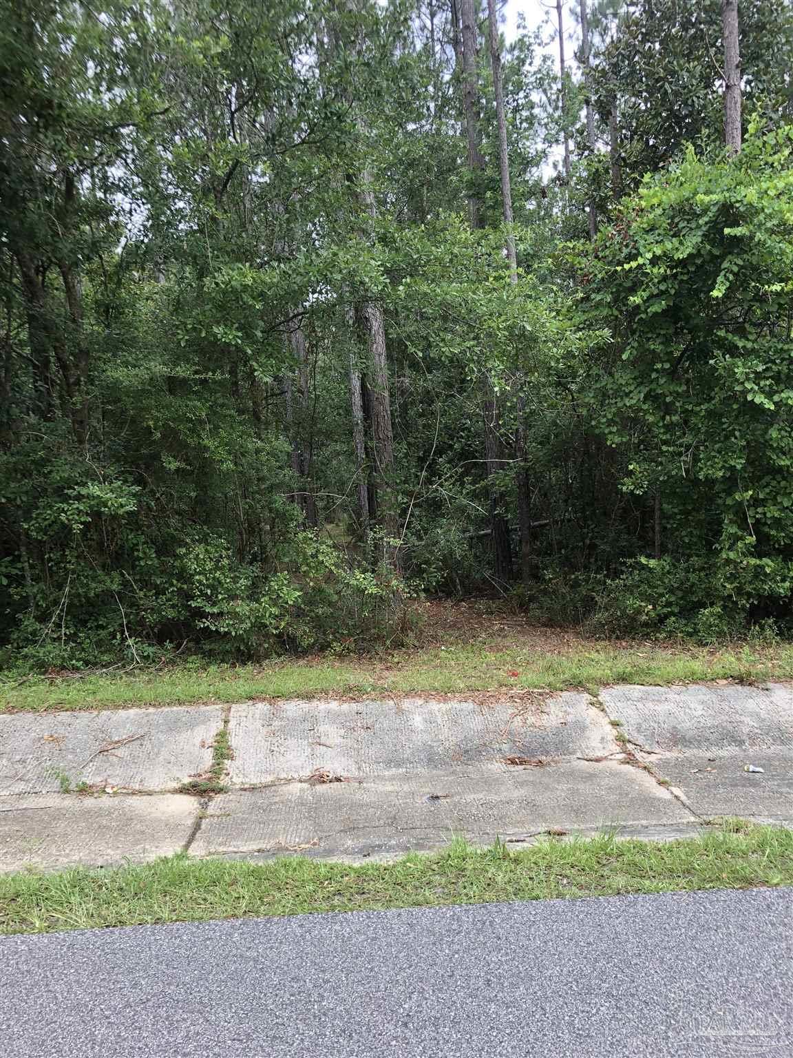 Lot 8 Virecent Road Cantonment, FL 32533 - Photo 6 of 8