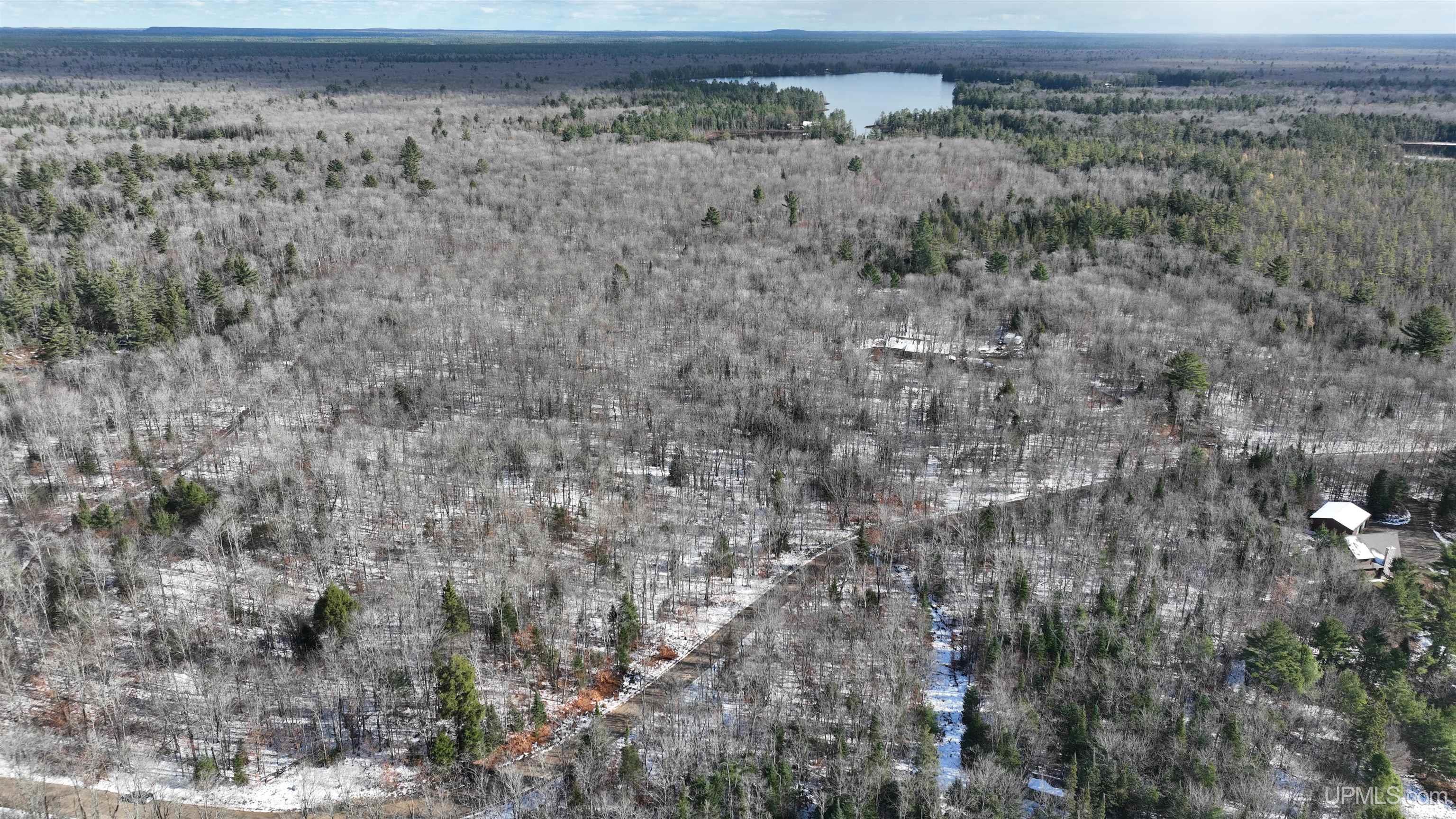 Tbd South Ross Lake Road Shingleton, MI 49884 - Photo 5 of 7