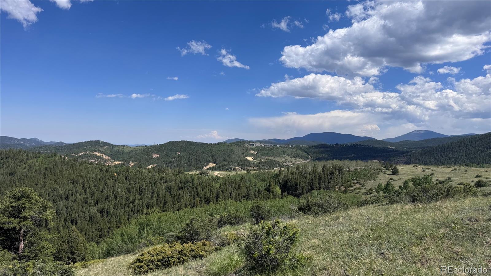 2 Mac Rock Road Central City, CO 80427 - Photo 7 of 20