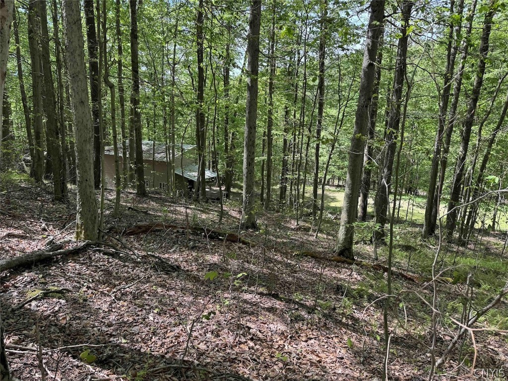 774 Bent Dipper Road Genesee, NY 14721 - Photo 34 of 46