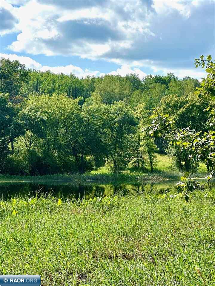 7937 Beitz Road Orr, MN 55771 - Photo 27 of 40