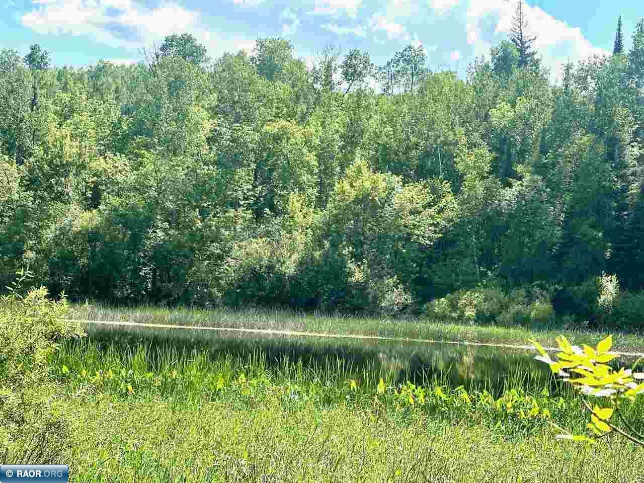 7937 Beitz Road Orr, MN 55771 - Photo 28 of 40