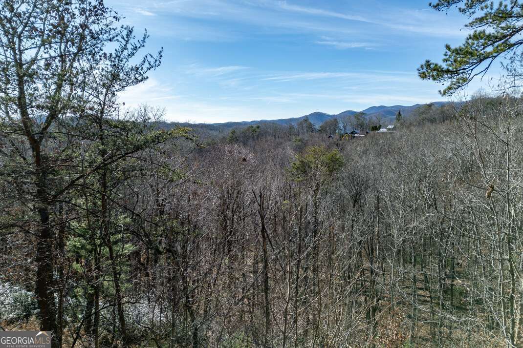 100 Smith Hill Road Blue Ridge, GA 30513 - Photo 3 of 66 a view of a city with lush green forest