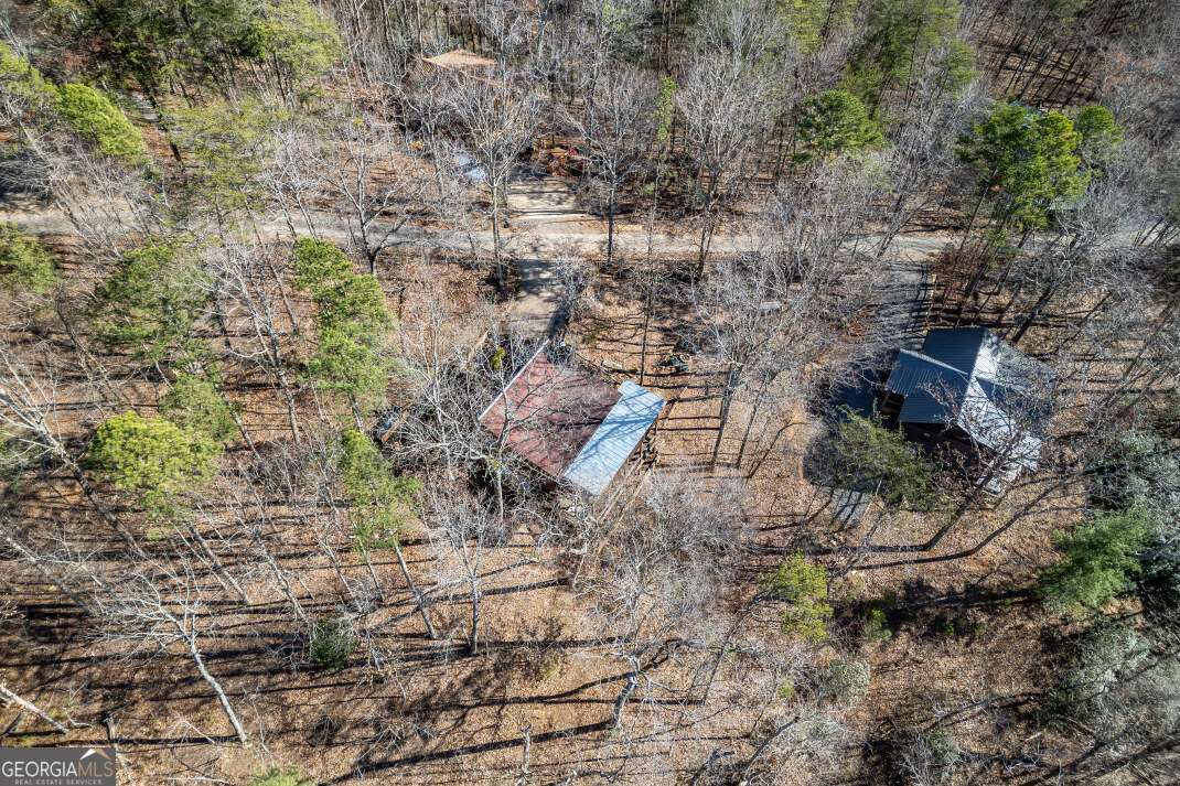 100 Smith Hill Road Blue Ridge, GA 30513 - Photo 60 of 66 a aerial view of a yard with plants and large trees