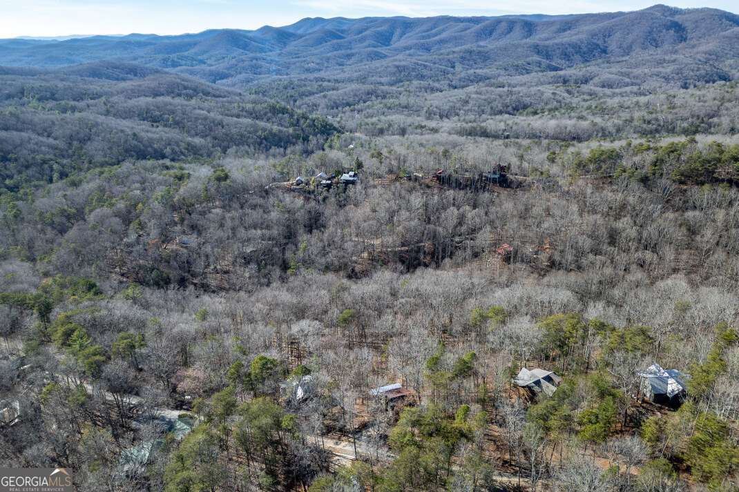 100 Smith Hill Road Blue Ridge, GA 30513 - Photo 64 of 66 a view of a dry and dry field