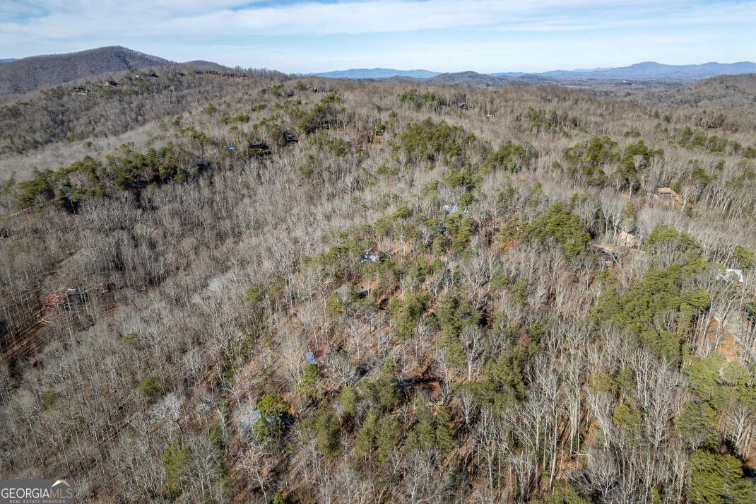 100 Smith Hill Road Blue Ridge, GA 30513 - Photo 65 of 66 a view of a mountain in the distance