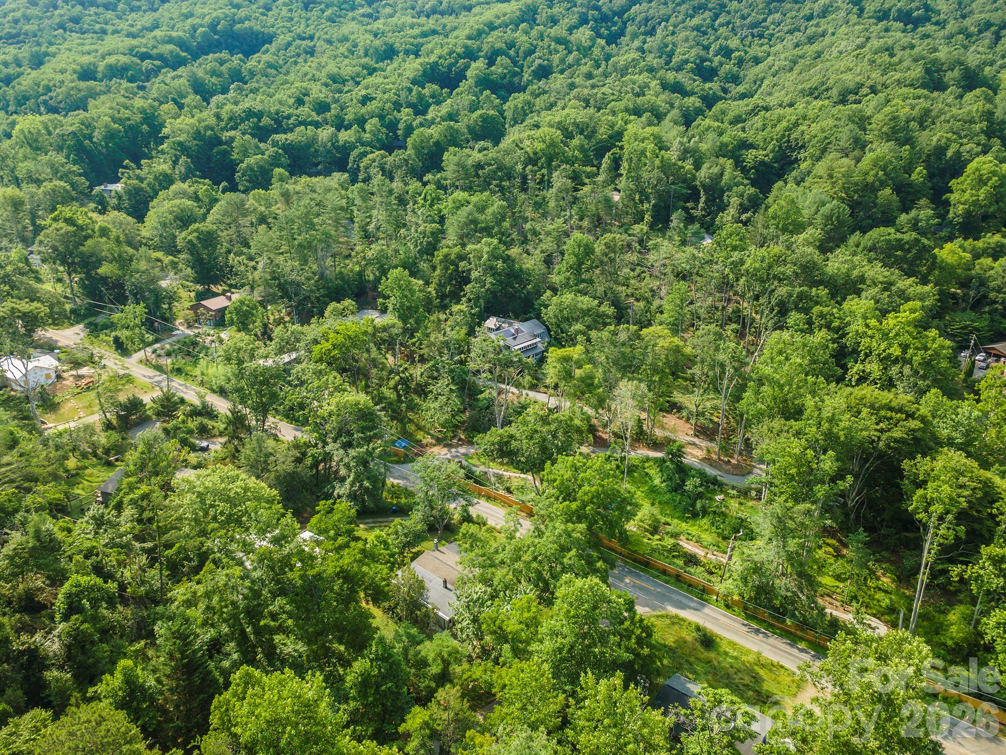 80 Webb Cove Road Asheville, NC 28804 - Photo 40 of 48