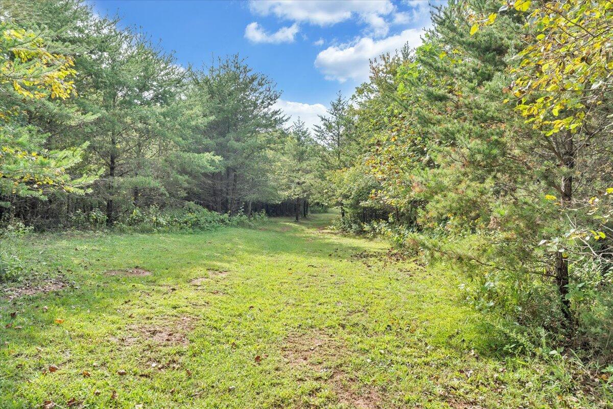 568 Moores Mill Road Ridgeway, VA 24148 - Photo 41 of 51 a view of a garden with a tree