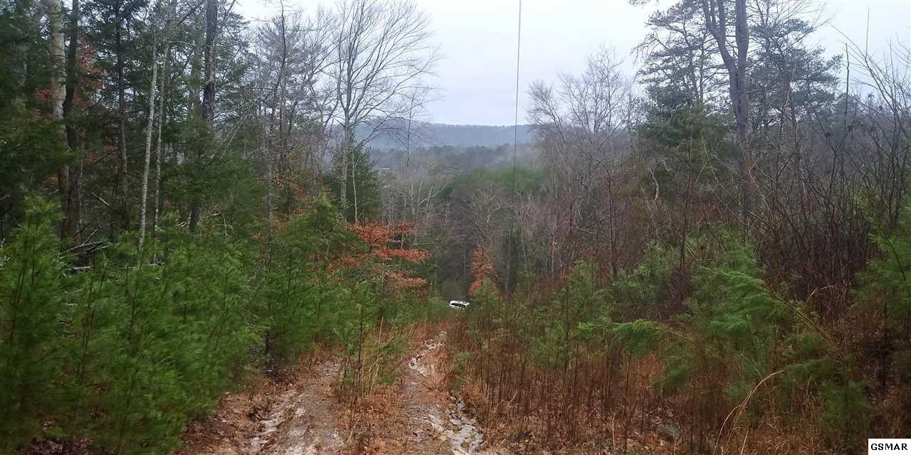 8 Sharp Road Sevierville, TN 37862 - Photo 5 of 7