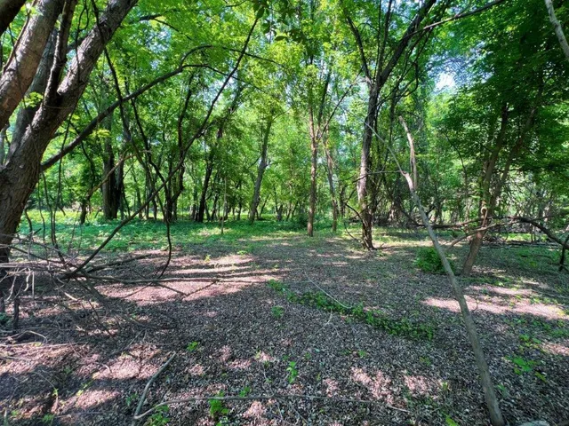 $294,000 | 93 Henderson Twp Mn 56058, Le Sueur, MN 56058