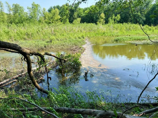 $294,000 | 93 Henderson Twp Mn 56058, Le Sueur, MN 56058