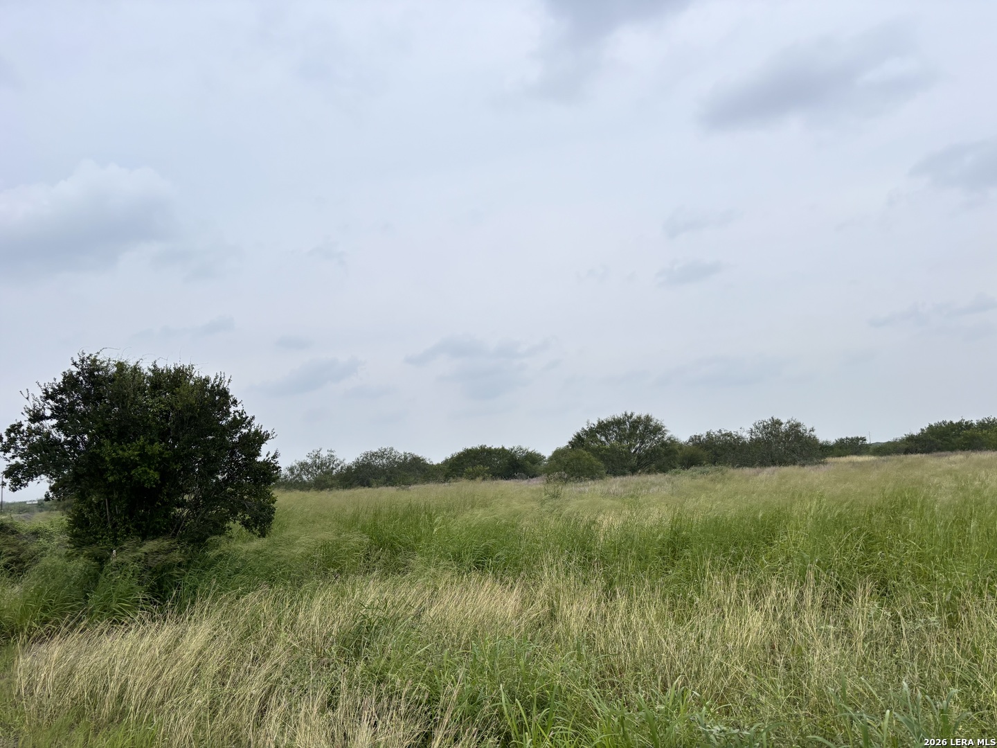 0 Farm To Market Rd 3249 Realitos, TX 78376 - Photo 14 of 14