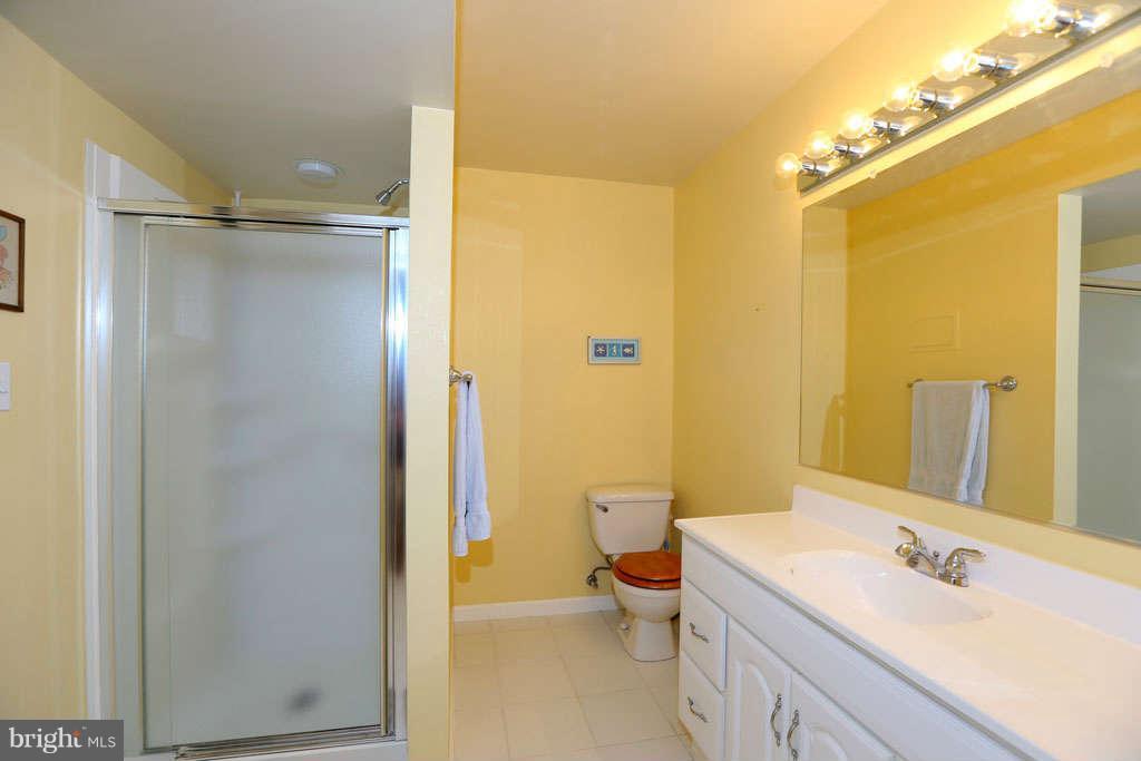 449 Highland Ridge Avenue Gaithersburg, MD 20878 - Photo 21 of 30 Lower level full bath