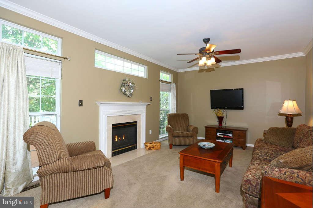449 Highland Ridge Avenue Gaithersburg, MD 20878 - Photo 9 of 30 Family Room