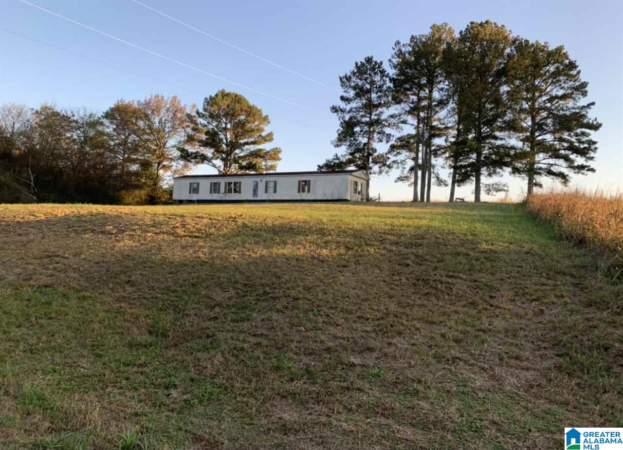 4280 Ellen Mann Road Dora, AL 35062 - Photo 7 of 12
