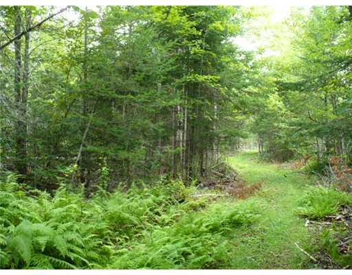 Off Brooks Road Knox, ME 04986 - Photo 5 of 8 Land.