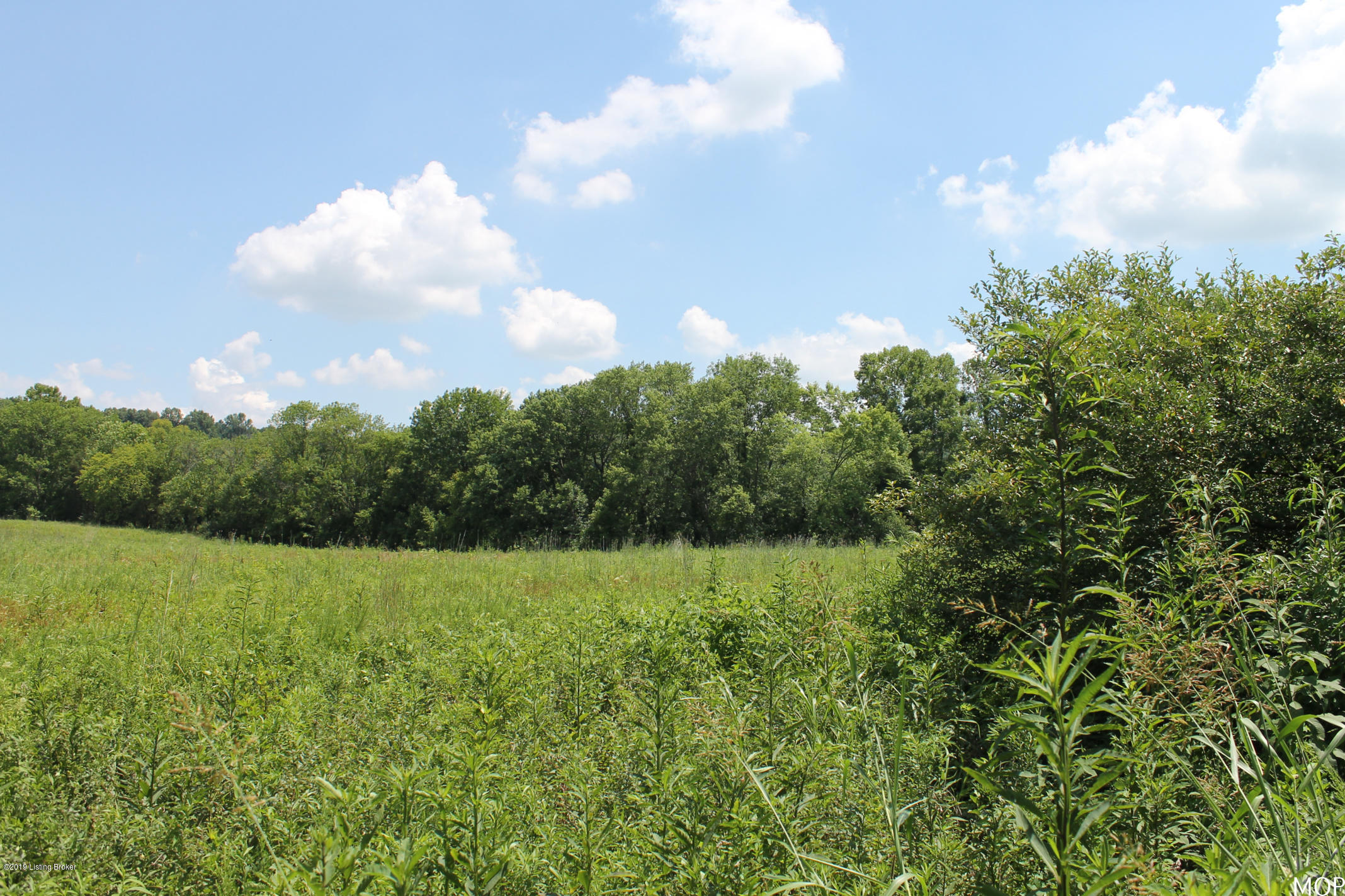 1000 Figett Bend Road Canmer, KY 42722 - Photo 34 of 61 IMG_2311