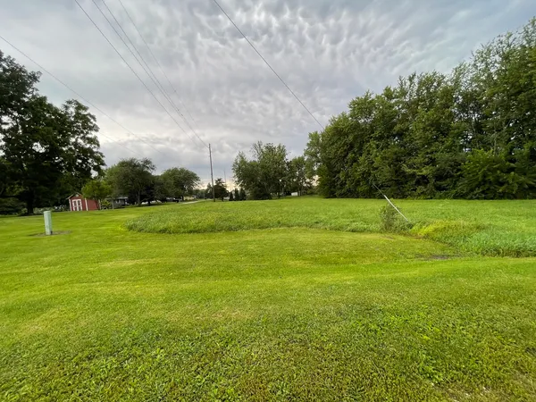 a view of a grassy field with trees in the background