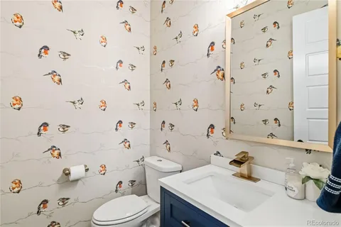 a bathroom with a sink toilet vanity and curtain