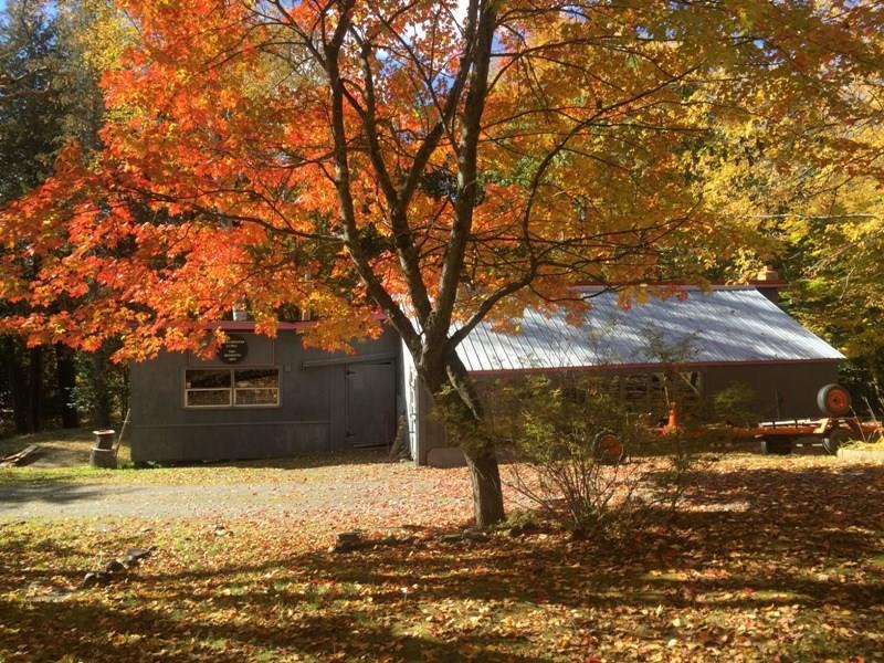 1487 Elliotsville Road Guilford, ME 04443 - Photo 30 of 31 Workshop in fall
