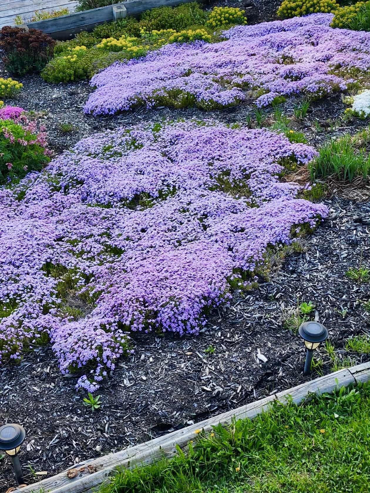 28 Messina Skowhegan, ME 04976 - Photo 16 of 71 att.tilbP5slfxxhGuz2x0Wg1OWVeLQGN9xEE0WU