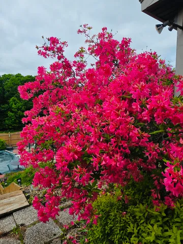 $320,000 | 28 Messina, Skowhegan, ME 04976