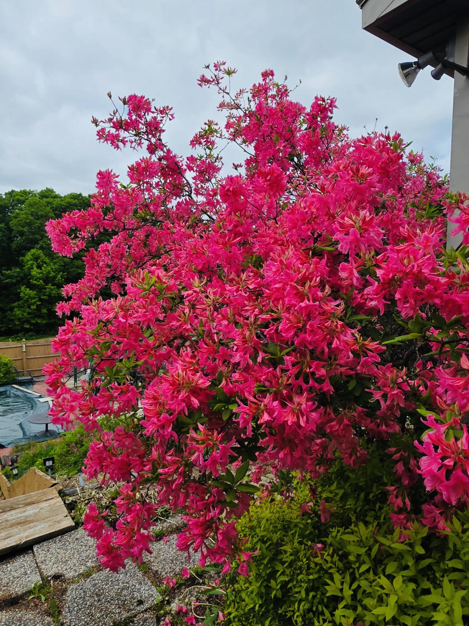 28 Messina Skowhegan, ME 04976 - Photo 3 of 71 1094887852977016778