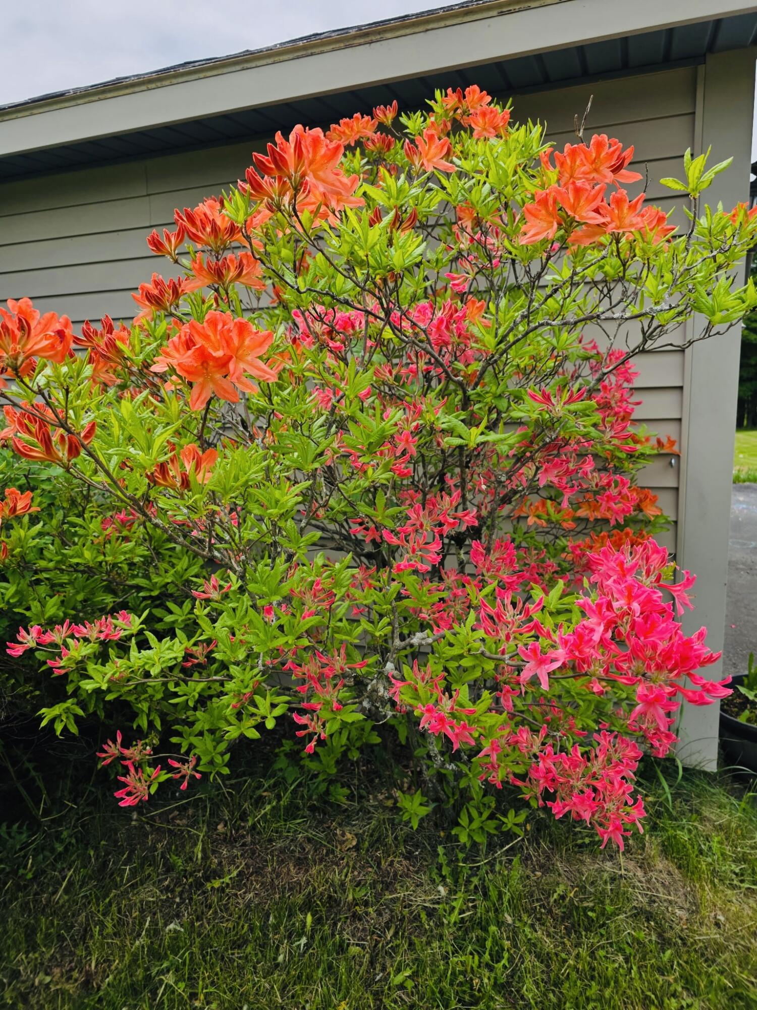 28 Messina Skowhegan, ME 04976 - Photo 4 of 71 2557480971928973578