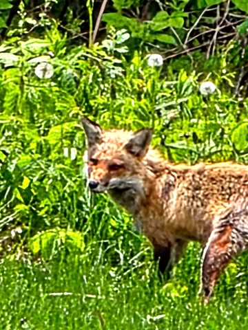 $320,000 | 28 Messina, Skowhegan, ME 04976