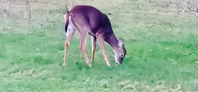 $320,000 | 28 Messina, Skowhegan, ME 04976