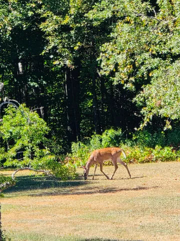 $320,000 | 28 Messina, Skowhegan, ME 04976