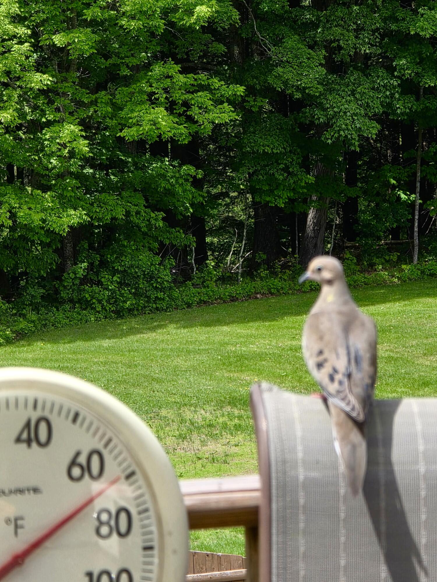 28 Messina Skowhegan, ME 04976 - Photo 68 of 71 5174097273092968847