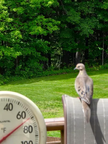 $320,000 | 28 Messina, Skowhegan, ME 04976