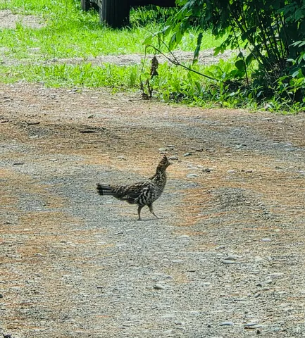 $320,000 | 28 Messina, Skowhegan, ME 04976