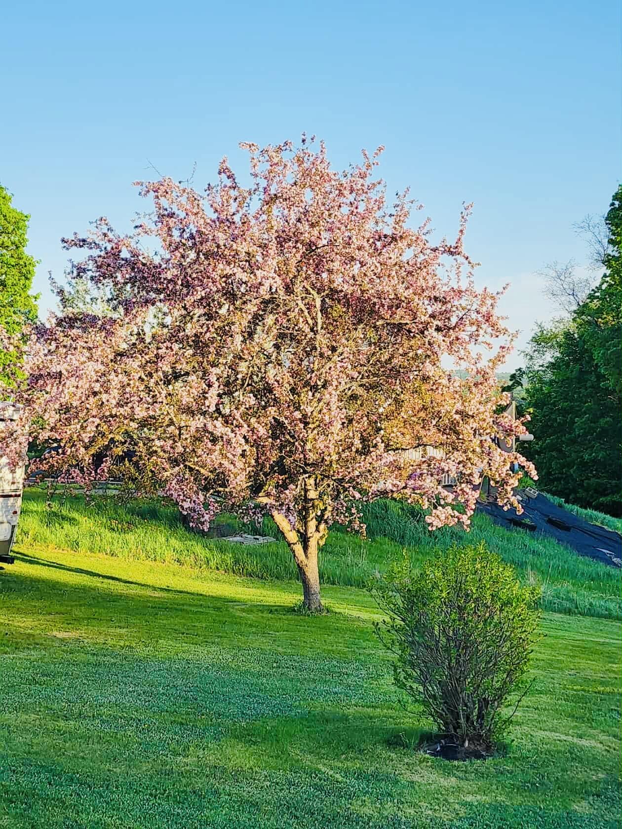 28 Messina Skowhegan, ME 04976 - Photo 8 of 71 att.ZOkPlLM7AtJCYvIl4_ZyXRjN3sjTH31i7pcn