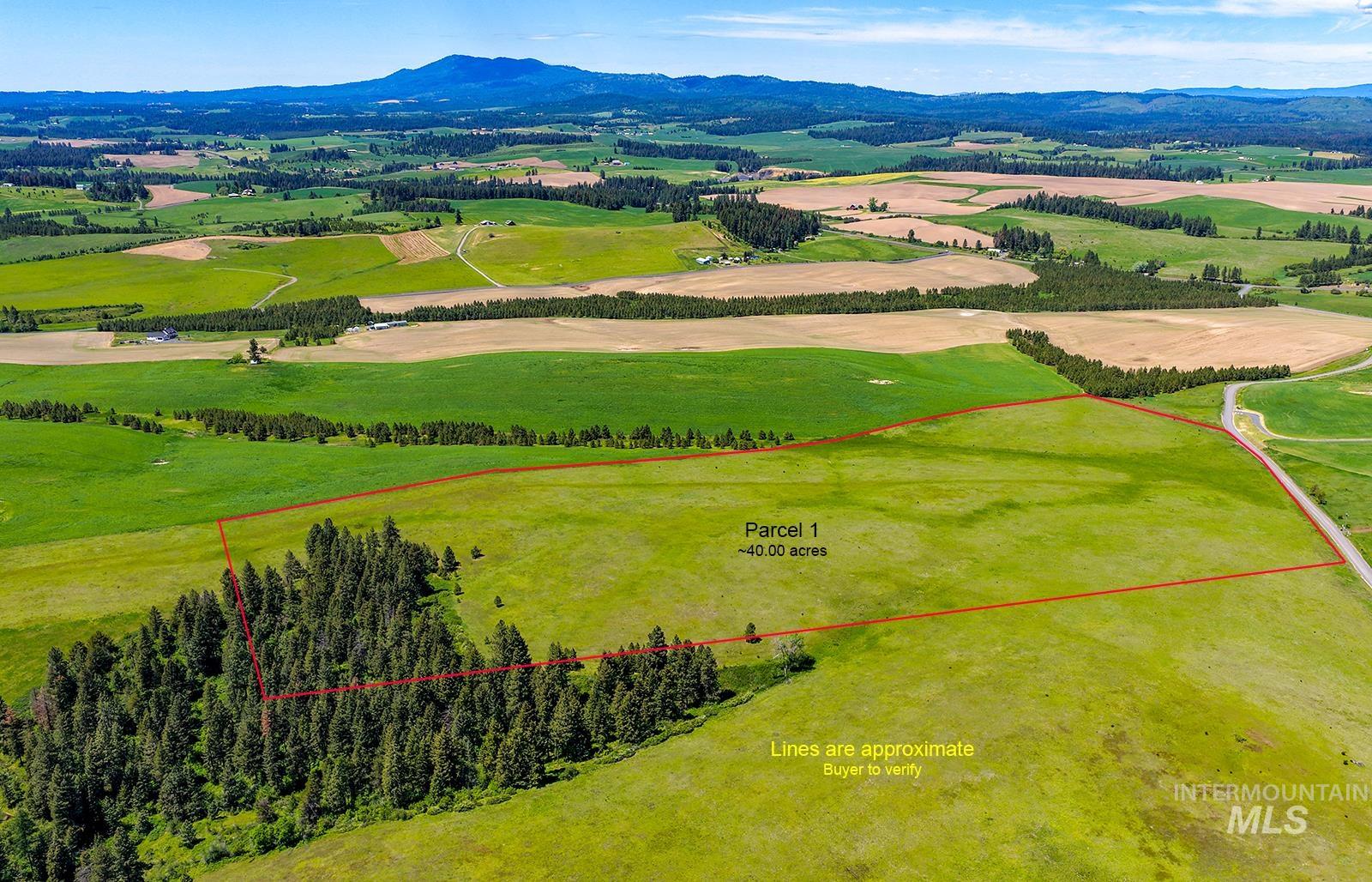 Tbd Tbd Johnson Road, Unit 1 Deary, ID 83823 - Photo 11 of 18