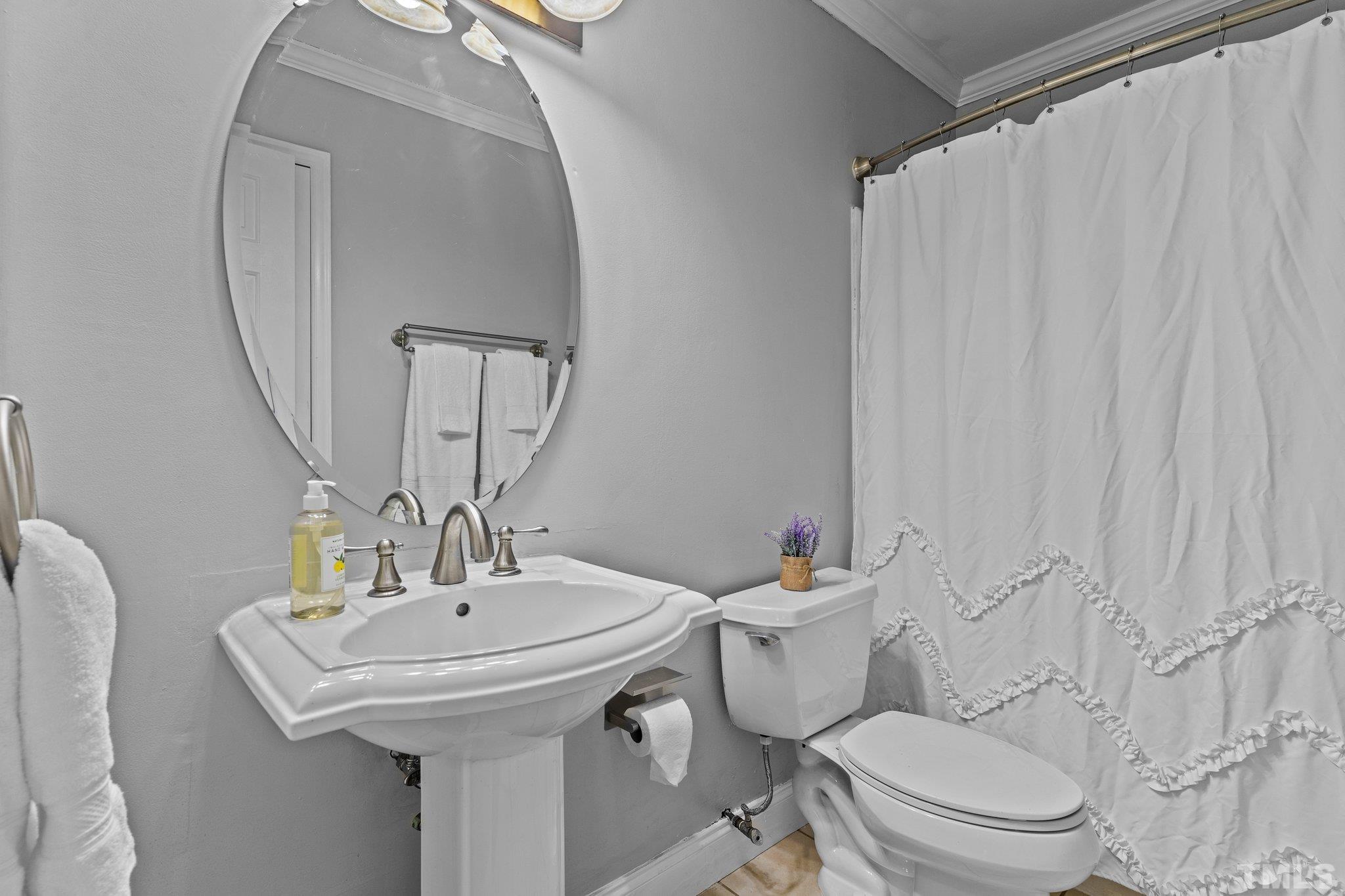 4209 Rockside Hills Drive Raleigh, NC 27603 - Photo 13 of 24 a bathroom with a sink a toilet and a mirror