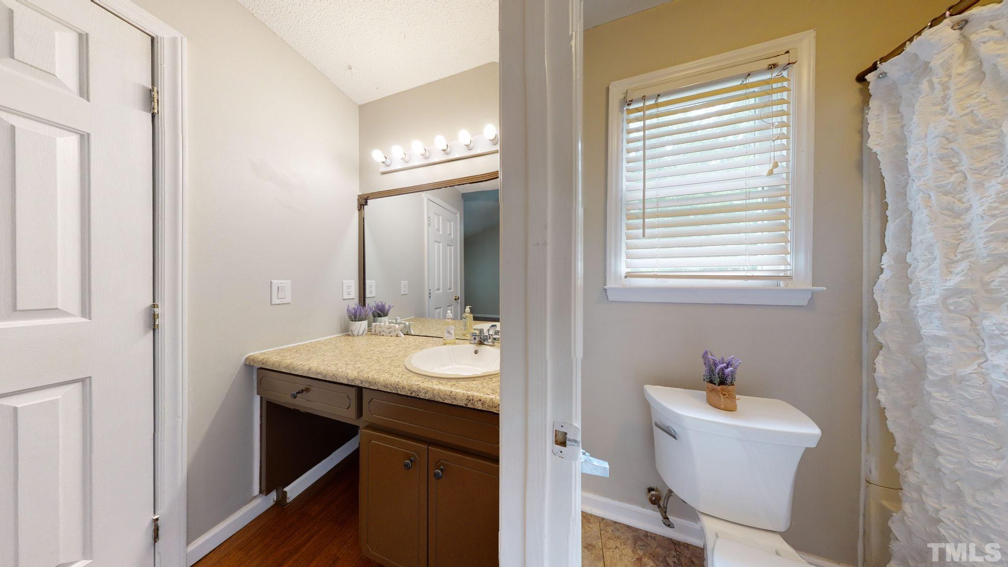 4209 Rockside Hills Drive Raleigh, NC 27603 - Photo 17 of 24 a bathroom with a sink toilet a mirror and bathtub