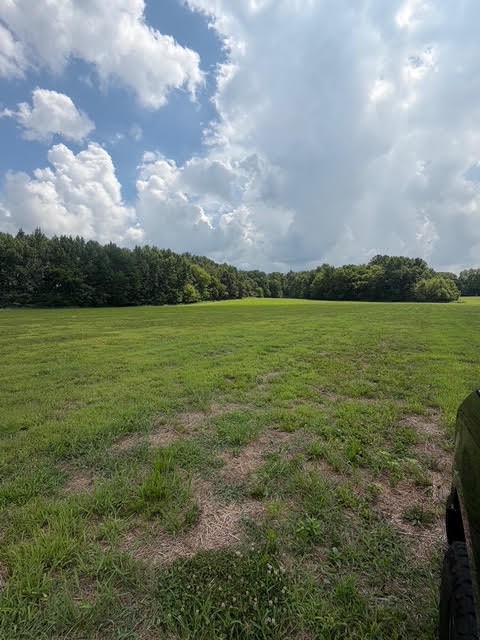 0 Friendship Road Cross Plains, TN 37049 - Photo 6 of 8