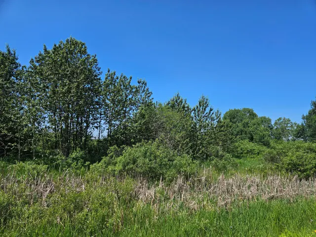 $54,900 | 32 County Road 32, Aitkin, MN 56431