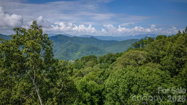a view of a backyard of a house