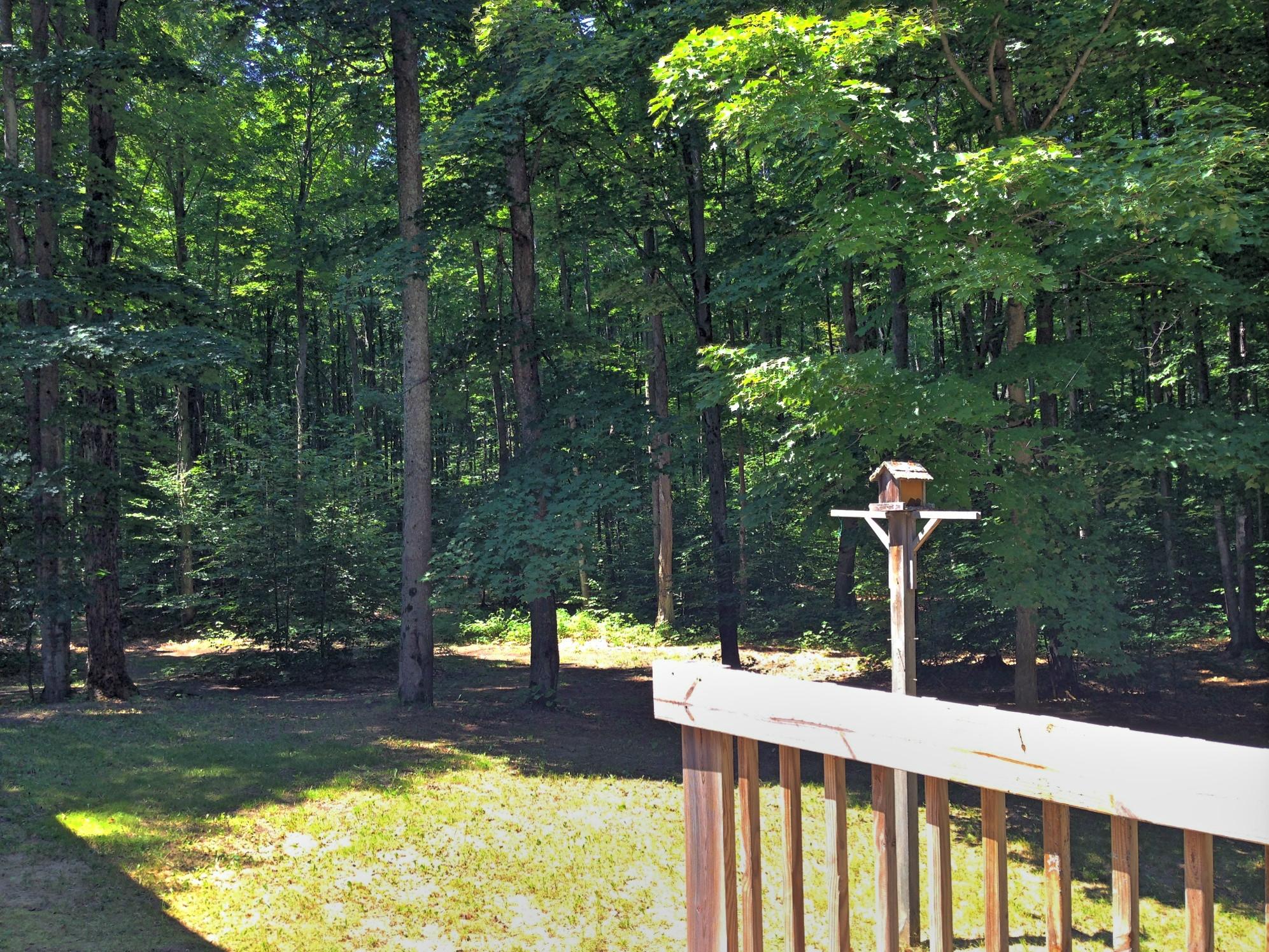 9657 North Roberts Road Frederic, MI 49733 - Photo 22 of 22 Gallery Image 22
