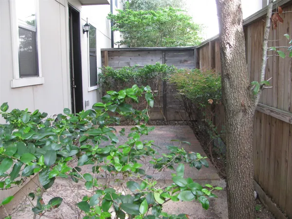 a view of a backyard with plants