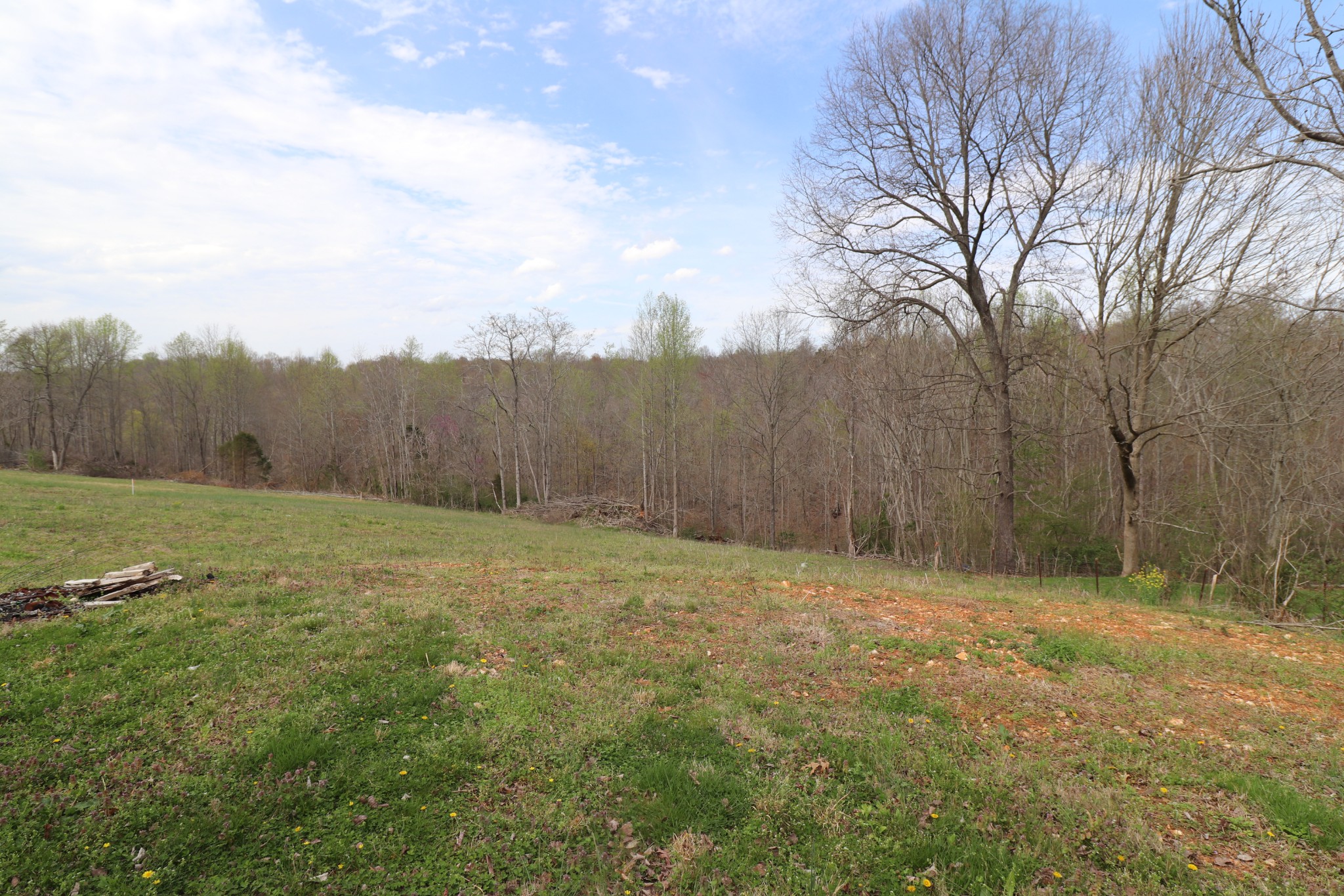 696 Hawkins Road Westmoreland, TN 37186 - Photo 31 of 31 Gallery Image 31