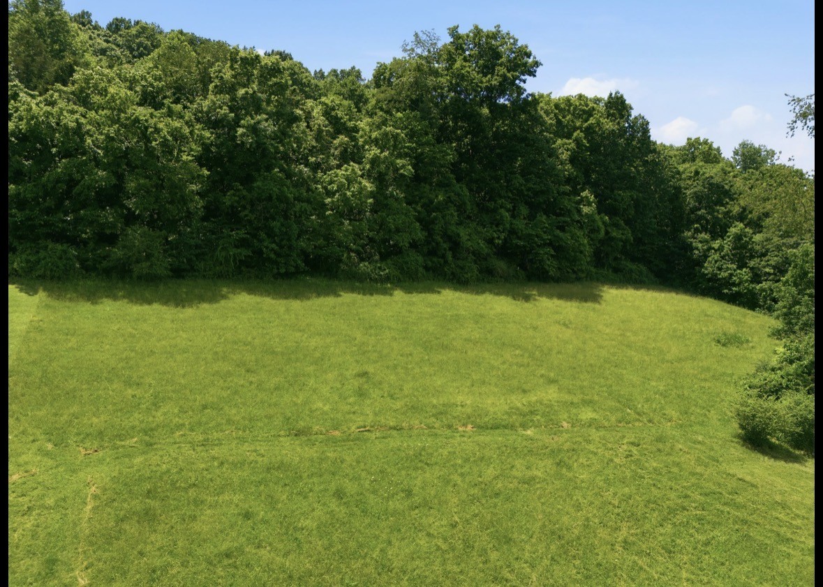 17 Dog Branch Road Pleasant Shade, TN 37145 - Photo 11 of 13