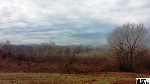 Lewis Road Lincolnton, NC 28092 - Photo 3 of 12 Gallery Image 3