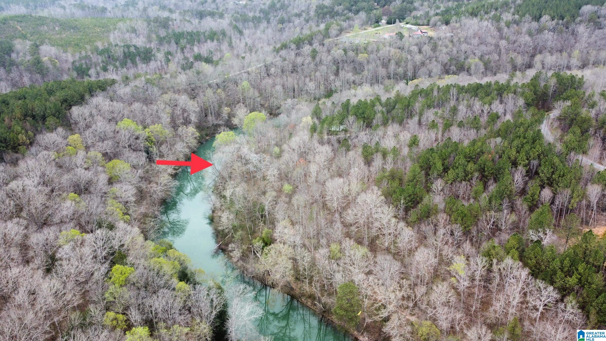 Lot 16 Turkey Bend Drive, Unit 16 Addison, AL 35540 - Photo 16 of 19