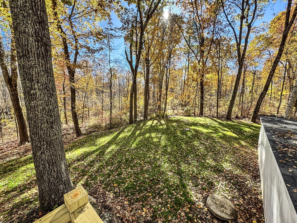 201 Pierce Road West Brookfield, MA 01585 - Photo 26 of 27 a view of backyard with large trees